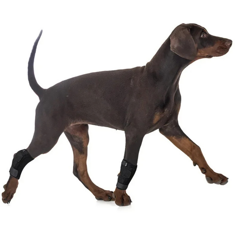 Bandagem Protetora para Joelhos e Cotovelos de Cachorros - Conforto e Mobilidade para Seu Melhor Amigo