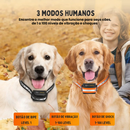 Coleira Eletrônica para Treinamento de Cães – Transforme o Comportamento do Seu Amigo