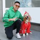 Capa de Chuva Para Cachorro Estilo Dinossauro: Conforto e Proteção em Dias Chuvosos