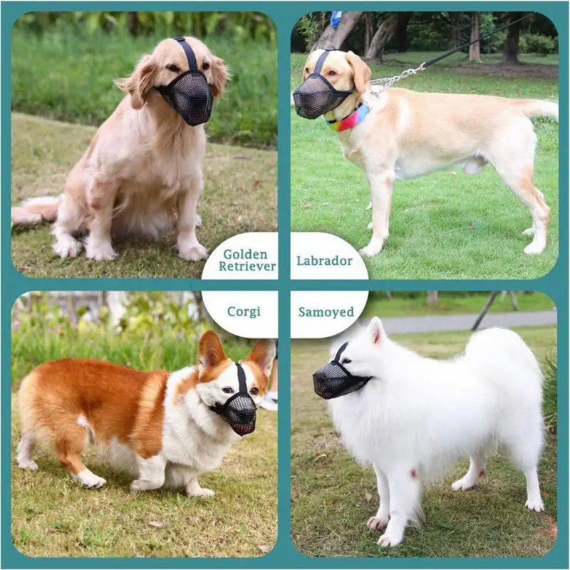 Focinheira Confortável e Respirável para Cachorros – Proteção Sem Sacrifício