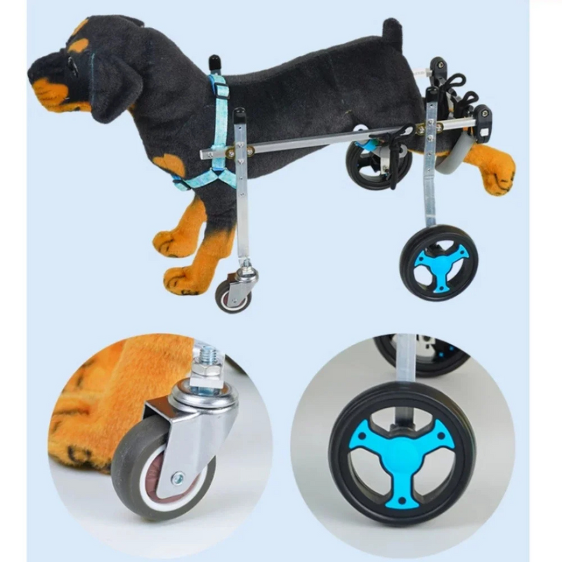 Cadeira de Rodas para Cachorros: Suporte Completo com 2 ou 4 Rodas para Liberdade e Conforto