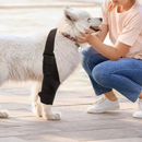 Cinta de Suporte para Patas Traseiras de Cachorros com Artrite e Dificuldades de Mobilidade