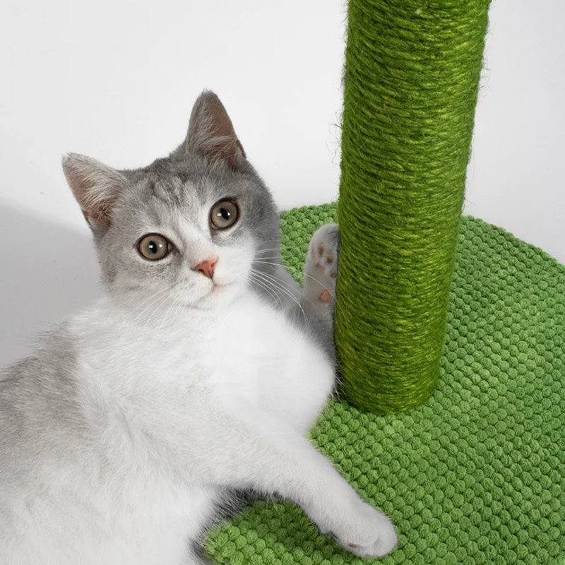 Arranhador Sisal Cacto: Brincadeira e Conforto para Gatos