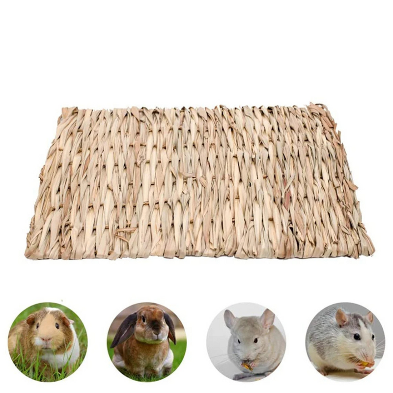 Cama de Palha Confortável para Roedores: Ideal para Hamsters, Chinchilas e Porquinhos-da-Índia