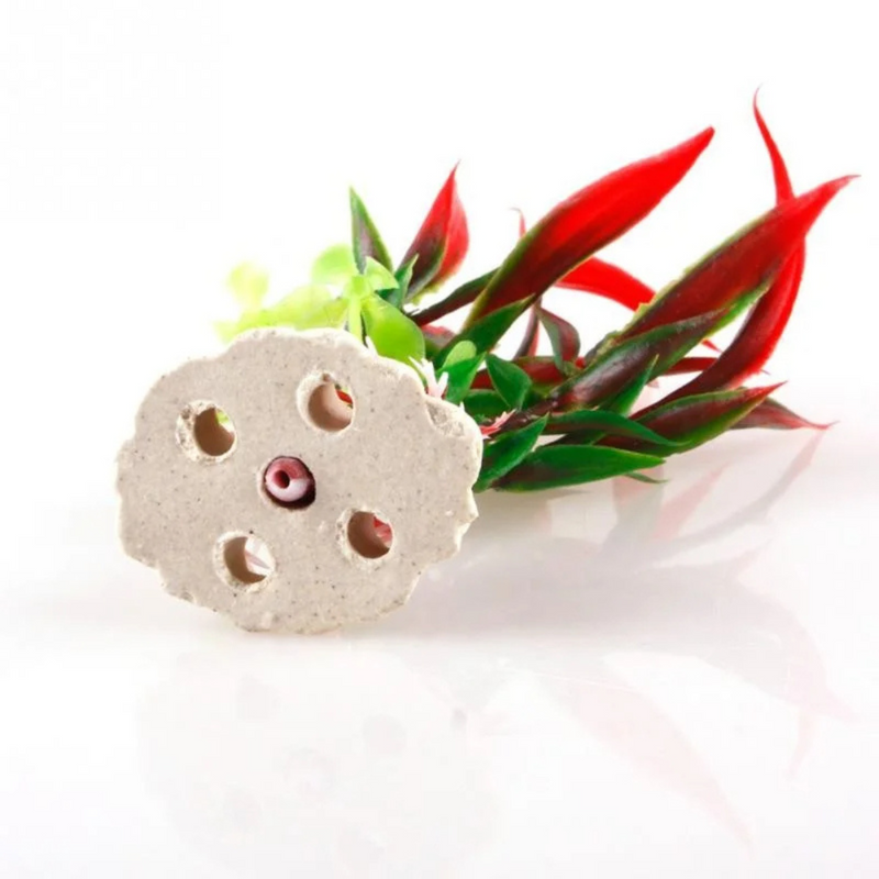 Planta Decorativa para Aquário - Transforme Seu Tanque em um Refúgio Tranquilo