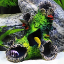 Tronco Natural com Musgos para Criar um Refúgio Aconchegante para Peixes Pequenos