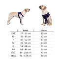 Cinta Ortopédica para Suporte e Recuperação das Patas Dianteiras de Cachorros