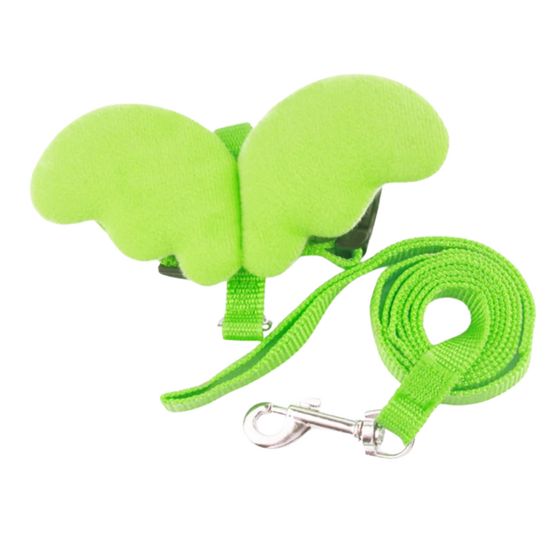 Peitoral Com Asas de Anjo e Guia para Gatos e Cães: Conforto E Estilo Para Seus Passeios