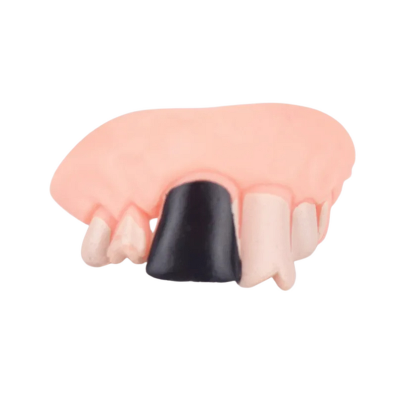 Dentadura Divertida para Cachorros na Festa de Halloween