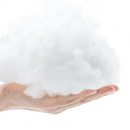 Refúgio Aconchegante Piu Piu para Gatos e Cachorros