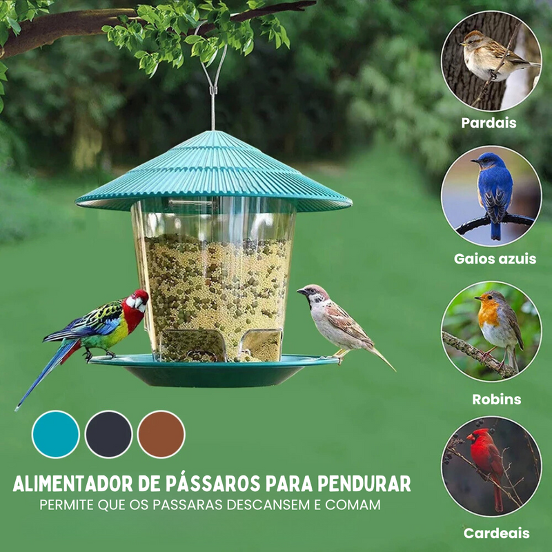 Comedouro para Beija-Flores: Encante Seu Jardim com a Natureza