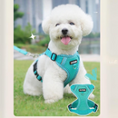 Coleira Peitoral Ajustável com Guia: Conforto e Segurança para Seu Cachorro