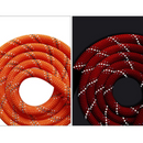 Guia Acolchoado Refletivo para Conforto e Segurança de Cachorros