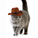 Chapéu Estilo Cowboy para Cachorros e Gatos: Conforto e Diversão em Cada Aventura