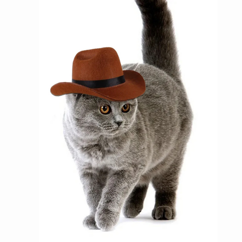 Chapéu Estilo Cowboy para Cachorros e Gatos: Conforto e Diversão em Cada Aventura