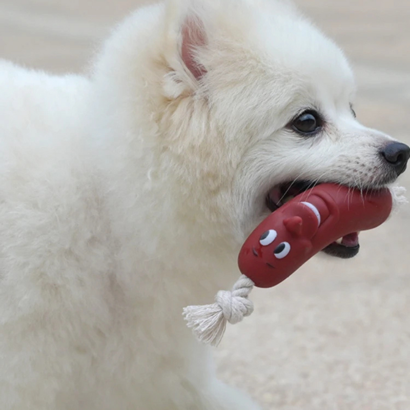 Banho Automático para Aves: Piscina com Fonte para Papagaios, Periquitos e Calopsitas