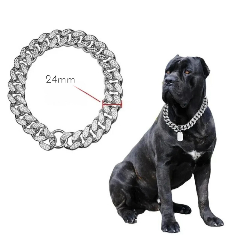 Coleira Luxuosa para Cachorros: Estilo e Conforto em Cada Passeio