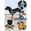 Cadeira de Rodas para Cachorros: Suporte Completo com 2 ou 4 Rodas para Liberdade e Conforto