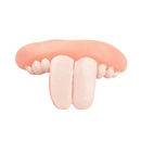 Dentadura Divertida para Cachorros na Festa de Halloween