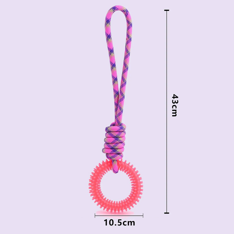 Mordedor Resistente com Corda e Argola para Cães: Cuidando da Dentição com Diversão