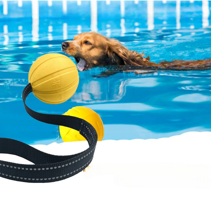 Bola Interativa com Alça para Treinamento e Adestramento de Cães