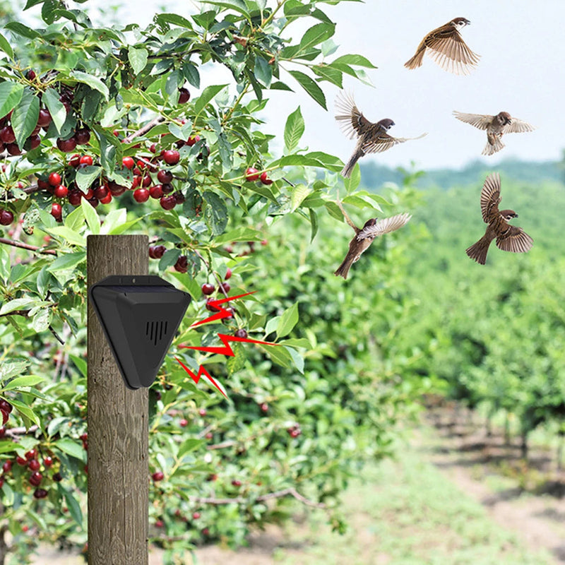 Proteção Eficiente Contra Pássaros - Alarme Solar Impermeável SolarSafe