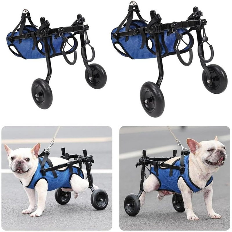 Cadeira de Rodas Ajustável para Pets: Liberdade e Conforto para Patas Traseiras