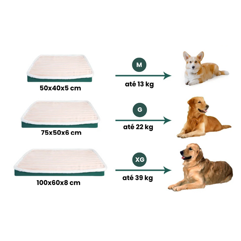 Colchão Pet Lavável e Impermeável para Conforto e Proteção com Espuma Densa