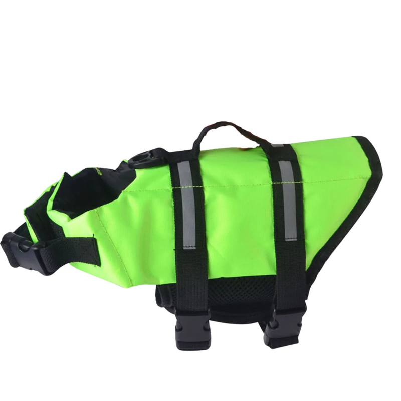 Colete Flutuante Para Cachorro: Proteção e Conforto na Natação