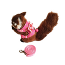 Peitoral Confortável para Roedores Pequenos: Hamsters e Porquinhos da Índia em Liberdade