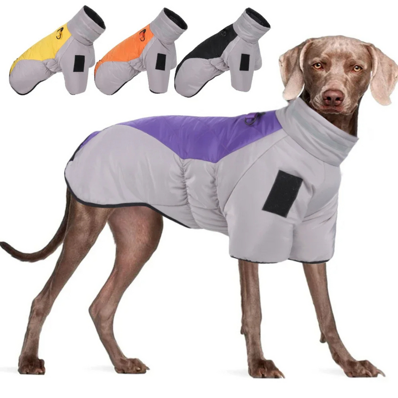 **Jaqueta Impermeável com Colar Alto para Conforto e Proteção do Seu Cachorro**