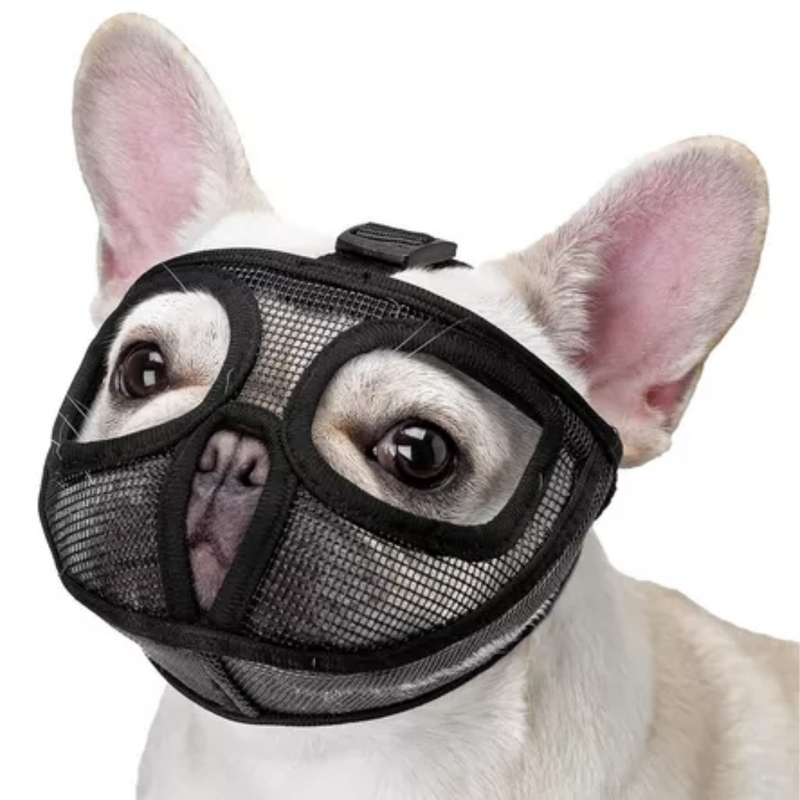 Focinheira Respirável para Buldogues Pug: Conforto e Liberdade em Cada Passeio