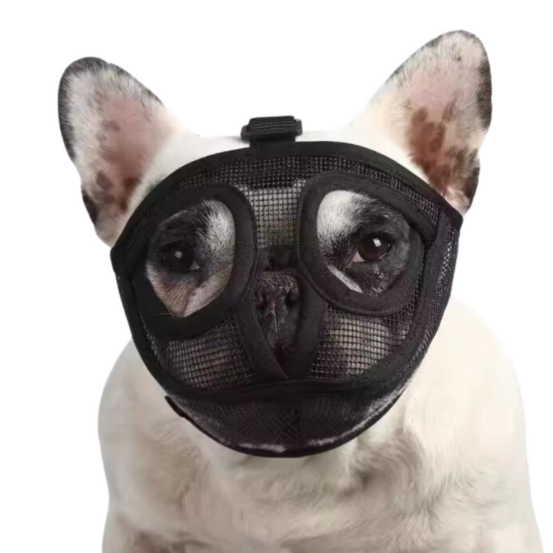 Focinheira Respirável para Buldogues Pug: Conforto e Liberdade em Cada Passeio