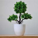 Vaso com Planta Artificial Bonsai para Decoração