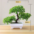 Vaso com Planta Artificial Bonsai para Decoração