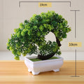 Vaso com Planta Artificial Bonsai para Decoração