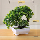 Vaso com Planta Artificial Bonsai para Decoração