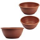 Conjunto de 15 Vasos Cuia para Rosa do Deserto - 6,6 Litros para Cultivar Beleza