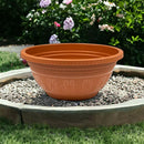 Conjunto de 15 Vasos Cuia para Rosa do Deserto - 6,6 Litros para Cultivar Beleza