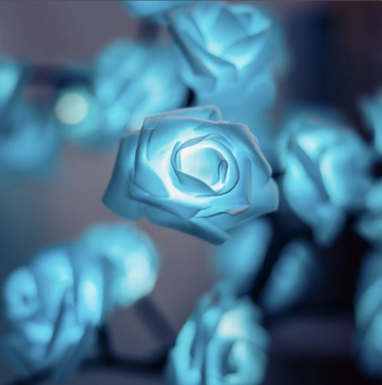 Luminária Rosa Eterna - Ilumine Seu Espaço com ForeverGlow