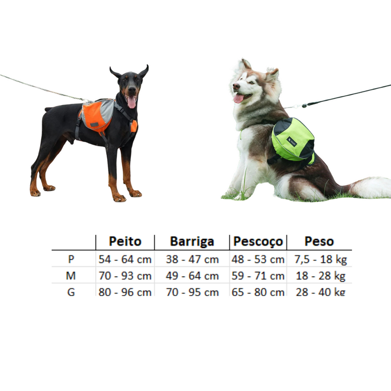 Bolsa Prática para Adestramento e Treinamento de Cães