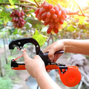 GardenGrip: Praticidade na Amarração de Plantas para Seu Jardim