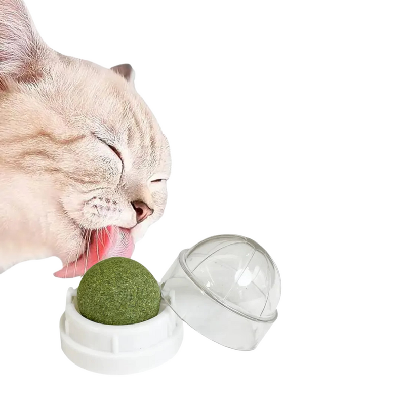 Bolinha de Catnip Interativa para Gatos com Adesivo Dupla Face – Brincadeira e Diversão Garantidas