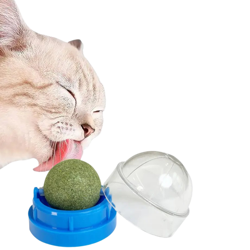 Bolinha de Catnip Interativa para Gatos com Adesivo Dupla Face – Brincadeira e Diversão Garantidas