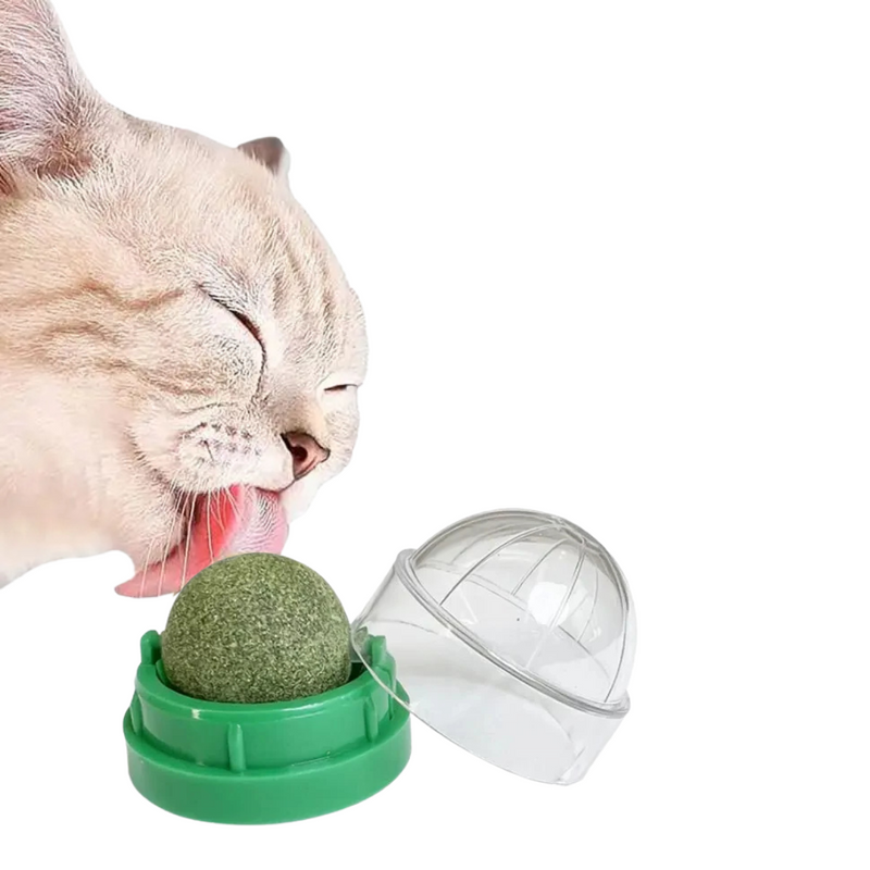 Bolinha de Catnip Interativa para Gatos com Adesivo Dupla Face – Brincadeira e Diversão Garantidas