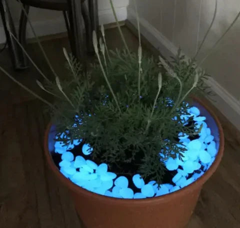 Transforme Seu Jardim com Pedras Mágicas