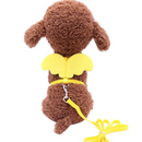 Peitoral Com Asas de Anjo e Guia para Gatos e Cães: Conforto E Estilo Para Seus Passeios