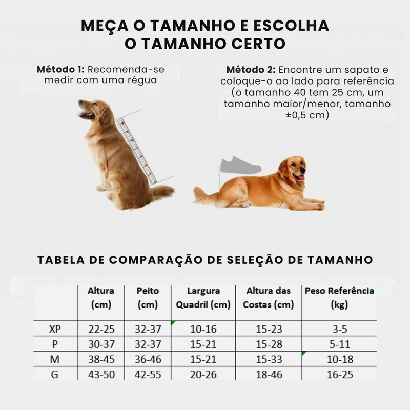 Cadeira de Rodas Ajustável para Proporcionar Liberdade às Patas Traseiras de Seu Cão
