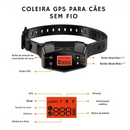 Coleira GPS para Cachorros: Segurança e Liberdade em Cada Passeio