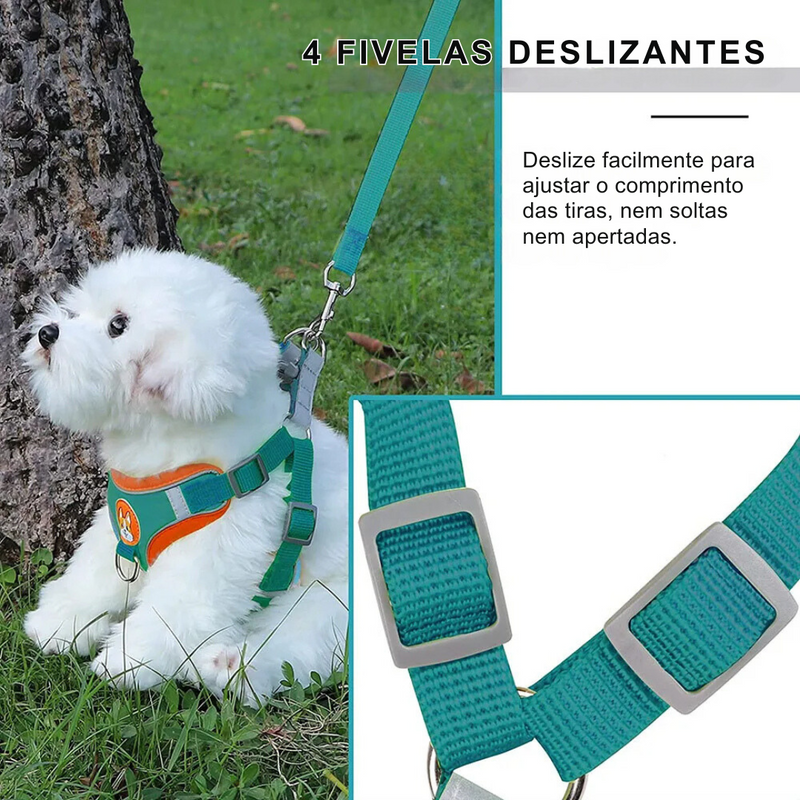 Conjunto Comfort Peitoral e Guia para Cachorros – Conforto e Segurança nas Caminhadas